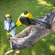 Best Aeration Services  in Shelburne Falls, MA